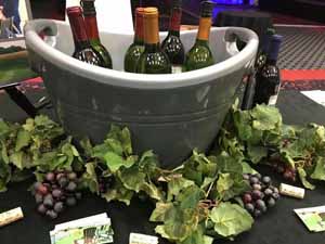 wine bucket