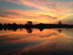 winery sunrise