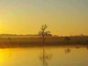 Winery sunrise photo